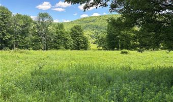 2613 Murphy Hill Rd, Andes, NY 13731