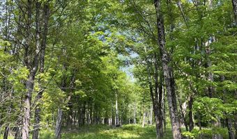 62 Cobb Hill Rd, Alstead, NH 03602
