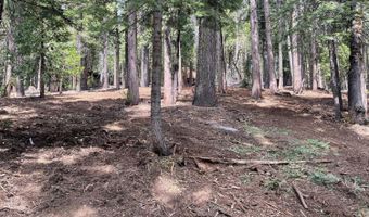 5175 Hokan Cir, Camp Connell, CA 95223