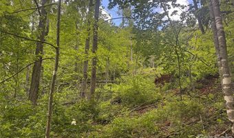 V/L Wolf Crossing, Bakersville, NC 28705