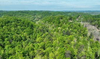 Tbd Green Springs Road, Abingdon, VA 24211