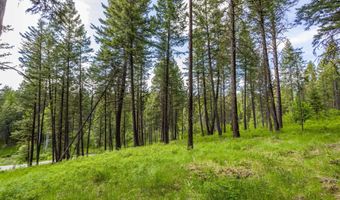 604 Ranch Rd, Bigfork, MT 59911