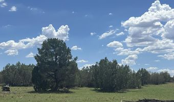62 Cone Ln, Ash Fork, AZ 86320