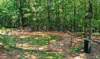 3204 Reavis Mountain Rd, Ball Ground, GA 30107
