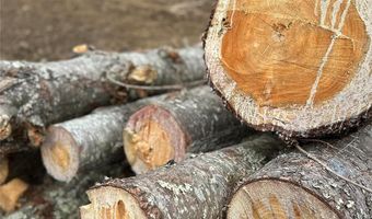 99999 White Pine Ln, Bakersville, NC 28705