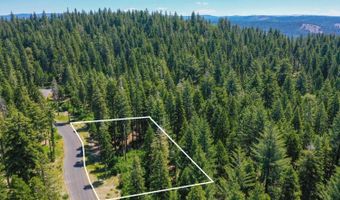 11 Timber Trail Ct, Arnold, CA 95223