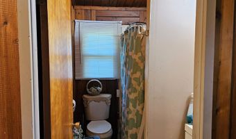 4740 Wildwood Rd, Alger, MI 48610
