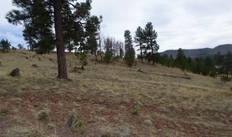 Lot 14a The Ranch At Alpine, Alpine, AZ 85920