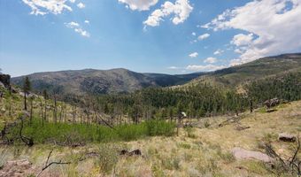 693 Cougar Dr, Bellvue, CO 80512