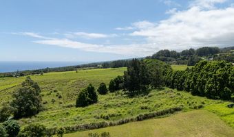 44-2527 KALOPA MAUKA Rd, Honokaa, HI 96727