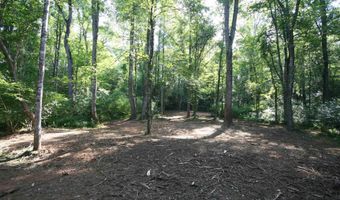 TBA BETTYS BRANCH RD X, Arvonia, VA 23004