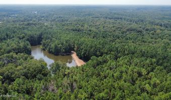 3 Champion Hill Rd, Bolton, MS 39041