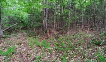Map 14 lot 50, Andover, ME 04216