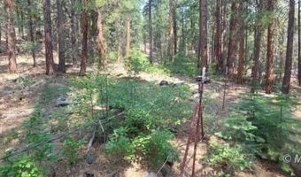 40 Acres Off 36N06, Adin, CA 96006
