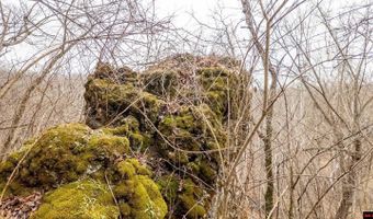 CR 19-A, Alton, MO 65606