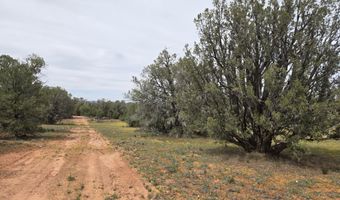 61 Raney Rd, Ash Fork, AZ 86320
