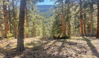 399 N Skinner Rd, Allenspark, CO 80510