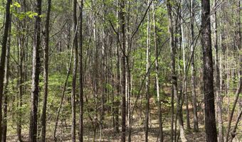274 CR 3301, Booneville, MS 38829