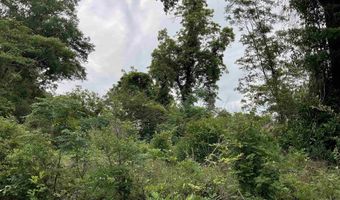 3494 Railroad Ave, Bamberg, SC 29003