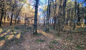 Tbd Oak Grove Rd, Austinville, VA 24312