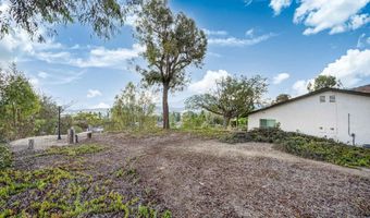 11060 Plum Tree Ln, Spring Valley, CA 91977