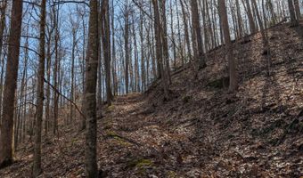 9999 Tip Top Rd, Beattyville, KY 41311