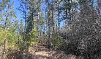 9 Robinsonville Rd, Atmore, AL 36502