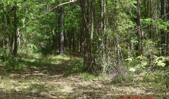CAMERON ROAD, Bastrop, LA 71220