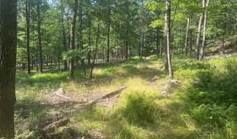 242 Brush Mountain Rd, Altoona, PA 16601