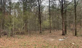 327 Pine Timber Ln, Bee Branch, AR 72039