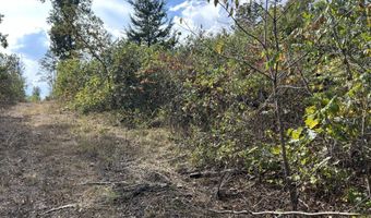 Hc 73 Box 4925 Track 20, Ava, MO 65608