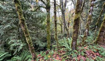 40 XX Sand Dollar Rd W, Bremerton, WA 98312