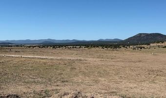 54 County Road 8001, Concho, AZ 85924
