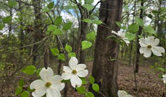 Cloverleaf Way lot 5, Antlers, OK 74523