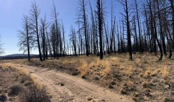 Mahogany Lane 200, Beatty, OR 97621