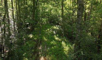 Us-51, Bogue Chitto, MS 39629