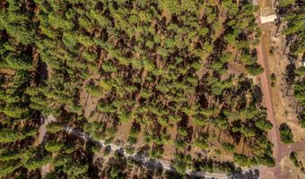 Tbd CR2325, Alpine, AZ 85920