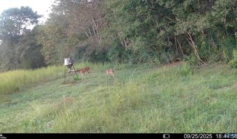 225 Stone Rd, Albertville, AL 35951