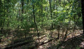 19 Th Pass Lot 132, Arkdale, WI 54613