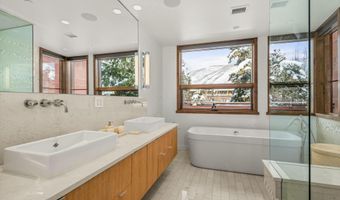 233 E Cooper Ave 301, Aspen, CO 81611