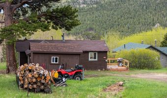 175 Ironclad View Rd, Allenspark, CO 80510