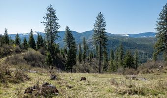 NKA 262 Ac N Side Rd, Calder, ID 83808