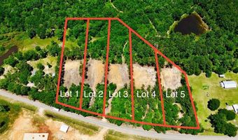 1 98+/- Acres Airport Rd Lot 2, Andalusia, AL 36421