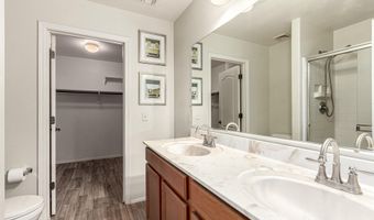 726 W Calle Ormino, Sahuarita, AZ 85629