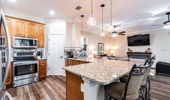 539 TREVISO Dr, Apollo Beach, FL 33572