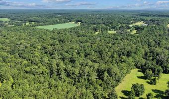 NW 218TH LANE, Alachua, FL 32615