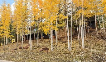 285 Pfister Dr, Aspen, CO 81611