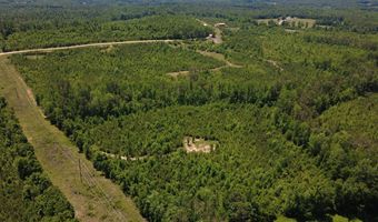 Tucker Road lot 13, Bath Springs, TN 38311