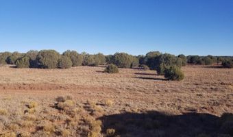 Lot 35 CR 8281, Concho, AZ 85924