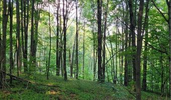 Lot # 19 Brush Hollow Road, Bovina, NY 13740